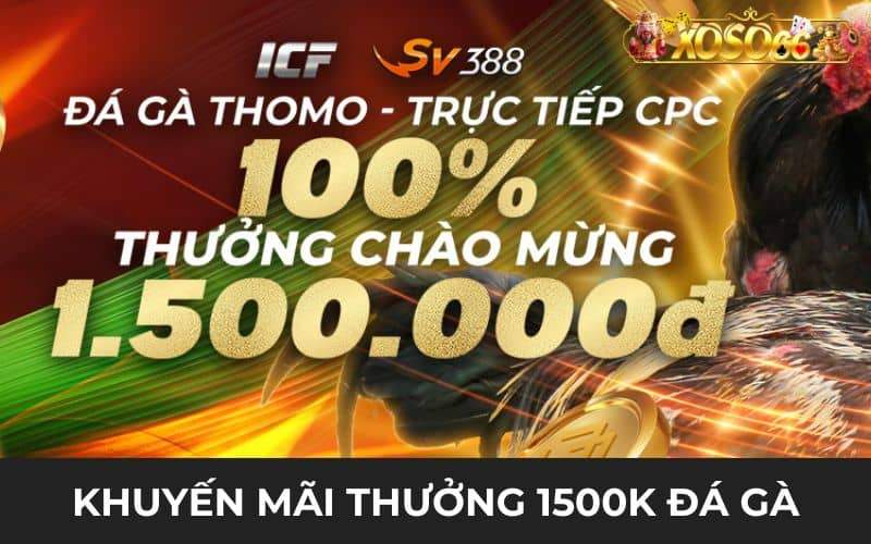 Tham gia nhận thưởng 1500k đá gà Thomo tại XOSO66