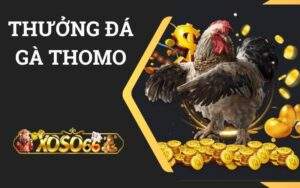 Thưởng 1500K Đá Gà Thomo