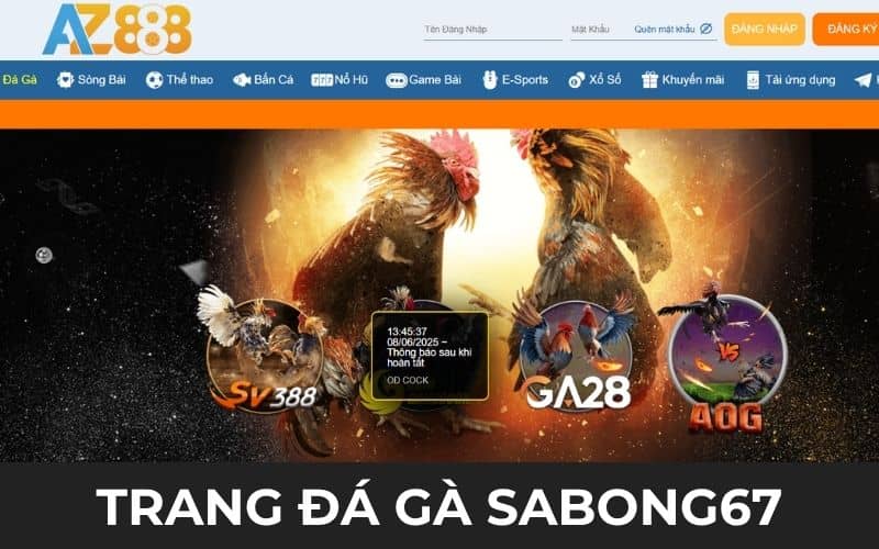 AZ888 thuộc hệ thống trang đá gà uy tín tại Campuchia