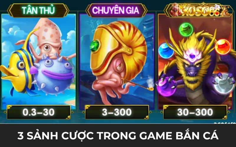 Bắn cá Ngũ Long có 3 sảnh cược cho người chơi tham gia Bắn cá Ngũ Long có 3 sảnh cược cho người chơi tham gia