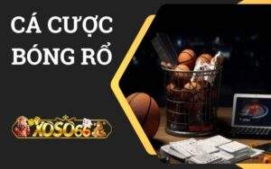 Cá cược bóng rổ