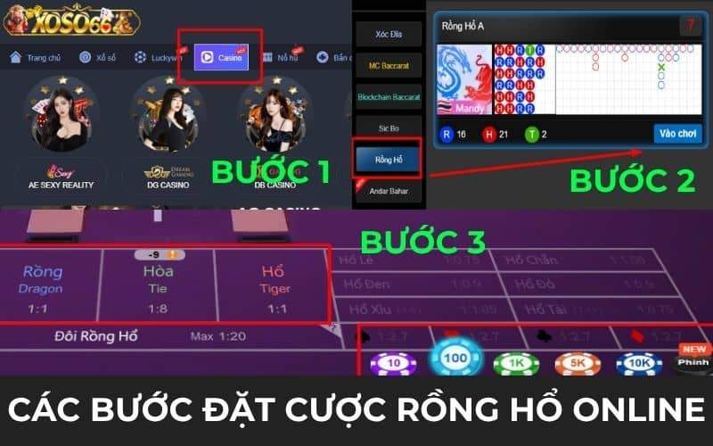 Các bước đặt cươc trong Rồng Hổ online