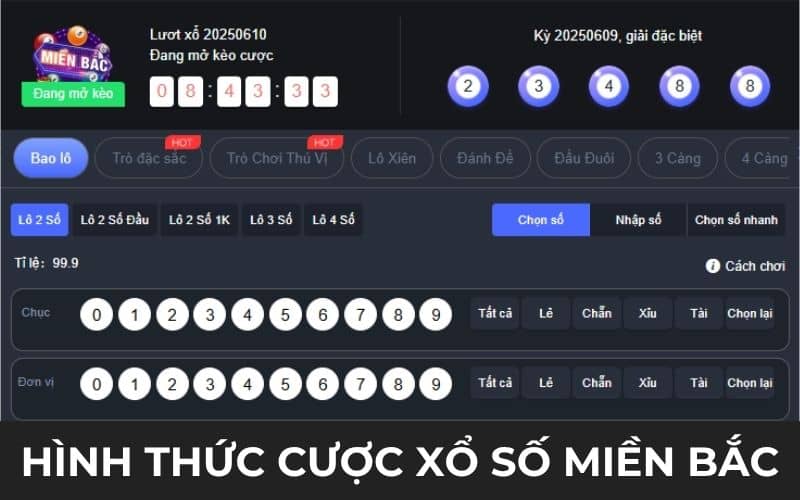 Cá hình thức cược xổ số miền Bắc tại XOSO66