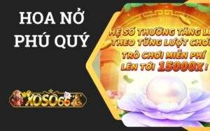 Hoa Nở Phú Quý