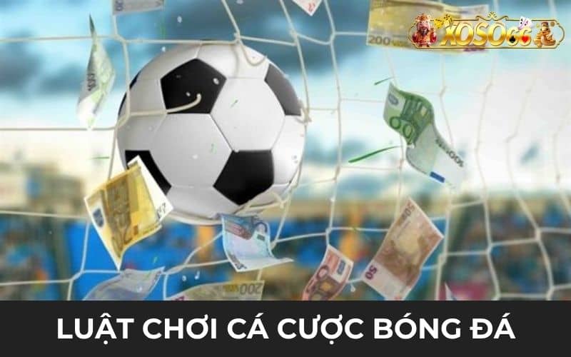 Luật chơi cá cược bóng đá được quy định tại XOSO66