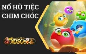 Nổ hũ tiệc chim chóc