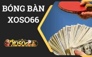 Bóng bàn XOSO66