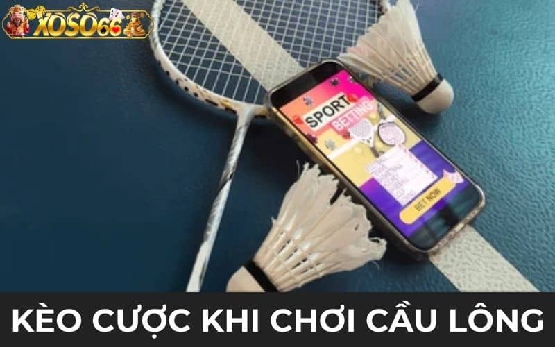 Các loại kèo cược khi tham gia cá cược cầu lông XOSO66