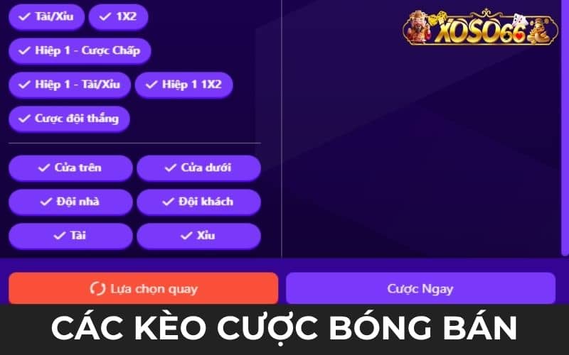 Các hình thức đặt cược bóng bàn tại thể thao XOSO66