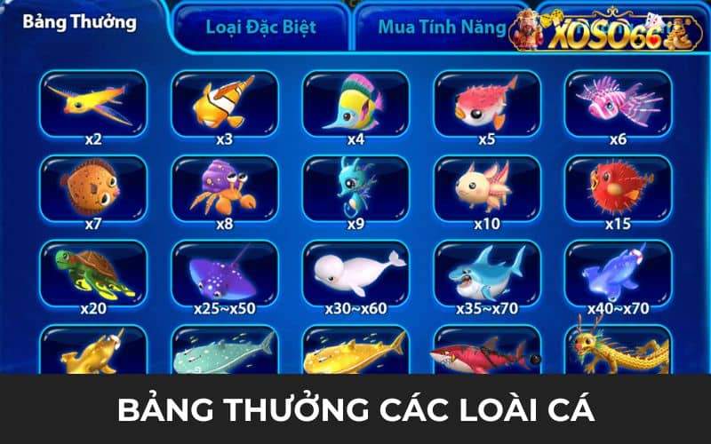 Bảng thưởng có đa dạng vật phẩm và loài cá Bảng thưởng có đa dạng vật phẩm và loài cá