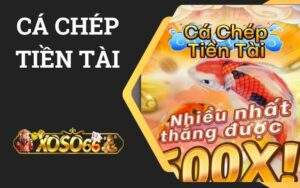 Cá Chép Tiền Tài