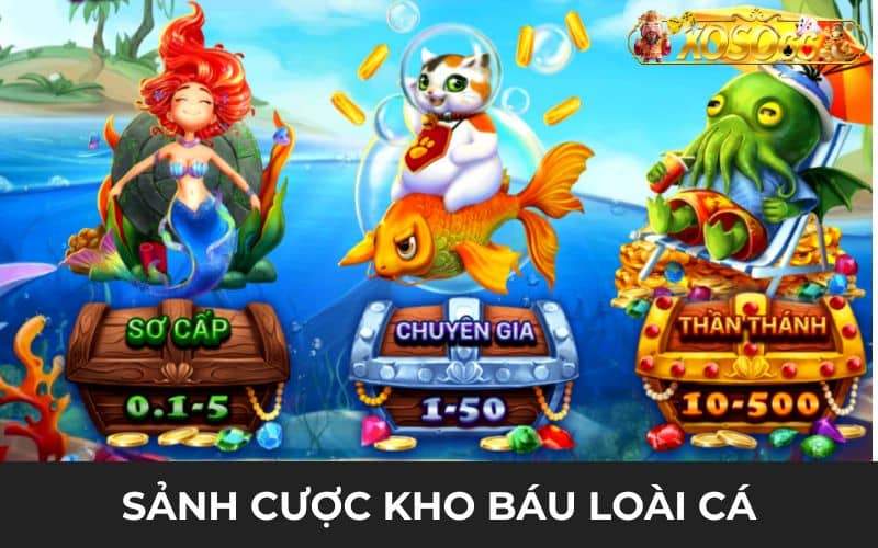 Những sảnh cược trong game kho báu loài cá Những sảnh cược trong game kho báu loài cá