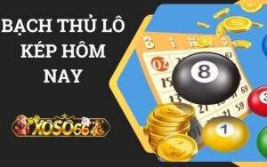 Bạch Thủ Lô Kép Hôm Nay