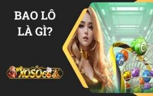 Bao Lô Là Gì