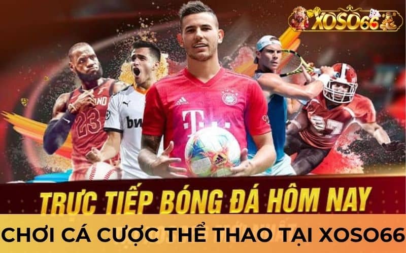 Chơi cá cược thể thao tại XOSO66 có nhiều ưu điểm