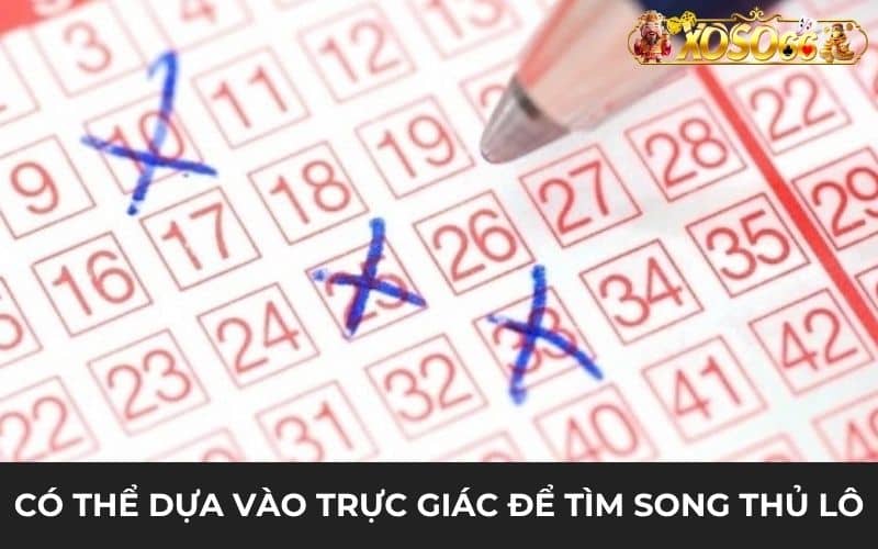 Có thể dựa vào trực giác để đánh song thủ lô Có thể dựa vào trực giác để đánh song thủ lô