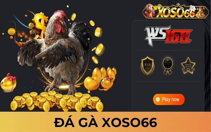 Đá gà XOSO66 là sản phẩm cá cược đá gà trực tuyến