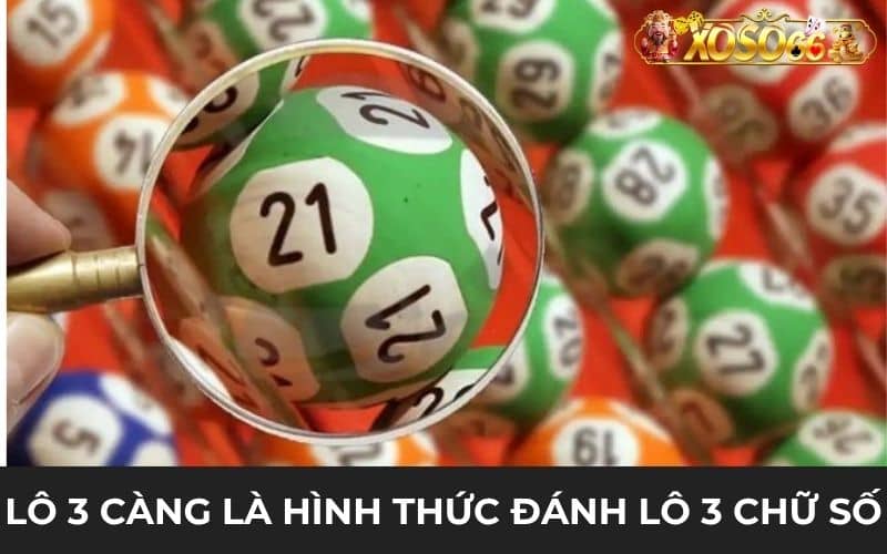 Lô 3 càng là hình thức đánh lô đề gồm 3 chữ số Lô 3 càng là hình thức đánh lô đề gồm 3 chữ số