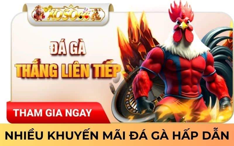 Nhận được nhiều khuyến mãi đá gà khi tham gia